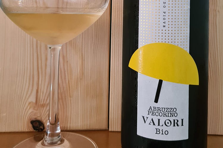 Ripartiamo dal vino Abruzzo Pecorino Bio 2018 Valori
