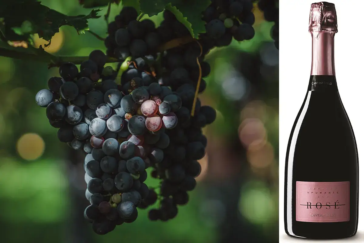 Abruzzo Ros&eacute; Spumante Dop Brut di Cantina Tollo Il Ros&eacute; Brut di Cantina Tollo rallegra i brindisi nelle sere d&rsquo;estate