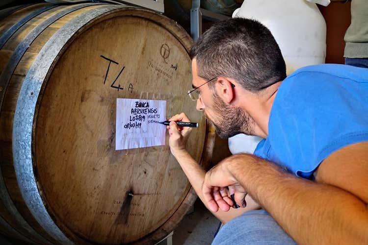 Teramo è il capoluogo regionale della birra (Abruzzo brassicolo di qualità 50 aziende in costante crescita)