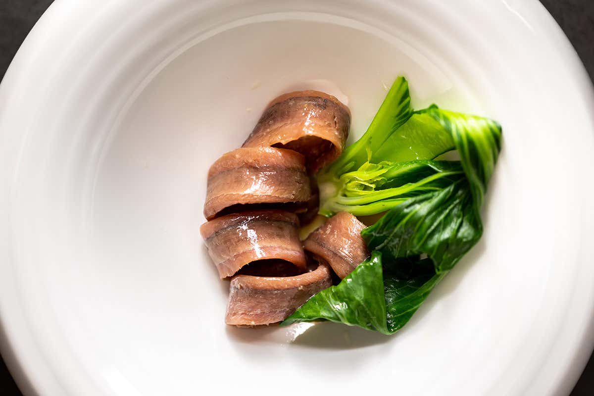 Acciughe Reserva La Nef, eccellenza del Mar Cantabrico