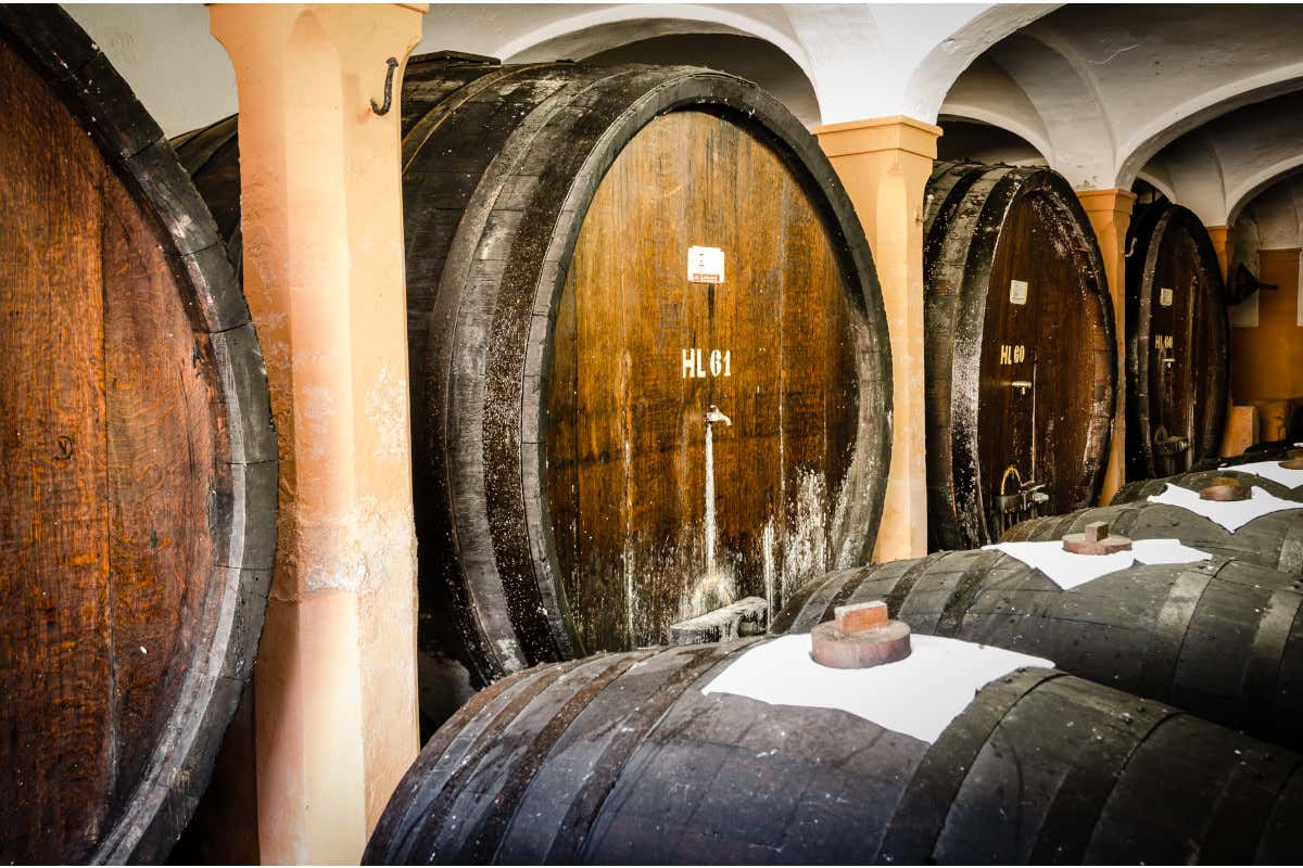 Aceto balsamico di modena dop e igp: superati i cento milioni di litri certificati Aceto balsamico di modena dop e igp: superati i cento milioni di litri certificati