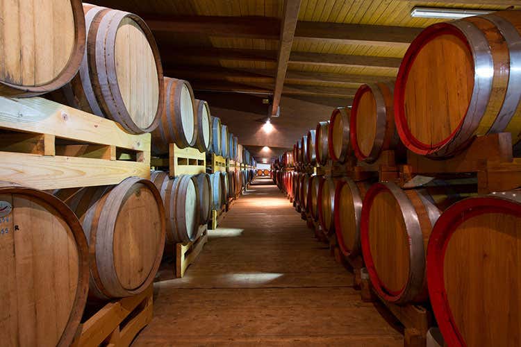 Non mancano nel libro approfondimenti su botti e legni - L'aceto Balsamico si racconta Bottura: «Cambia con il tempo»