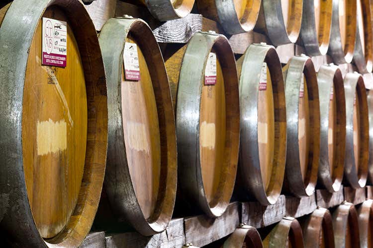 Nel libro le complessità e le bellezze di questo mondo - L'aceto Balsamico si racconta Bottura: «Cambia con il tempo»