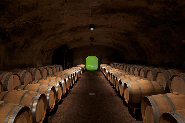 Ad Hans Terzer il Premio Eccellenza Ad Hans Terzer il Premio Eccellenza