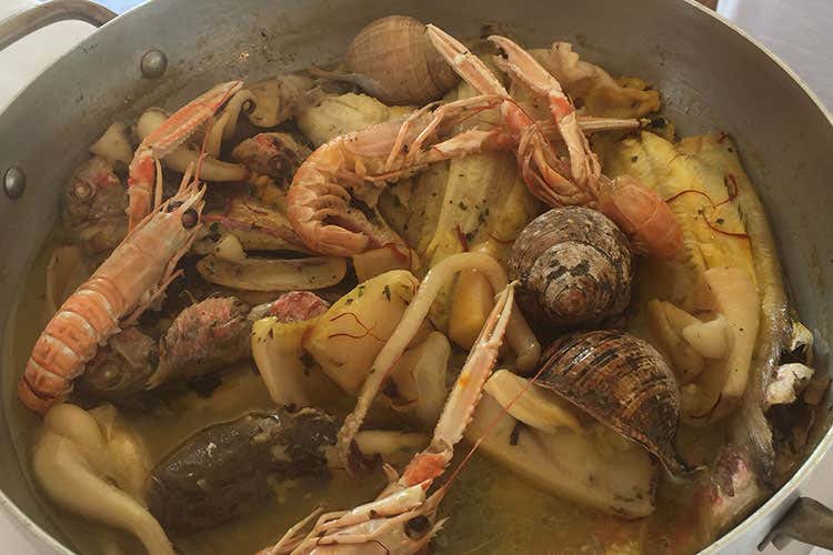 Brodetto di Porto Recanati (Adriaticontest Premiato Giorgio Dal Forno)