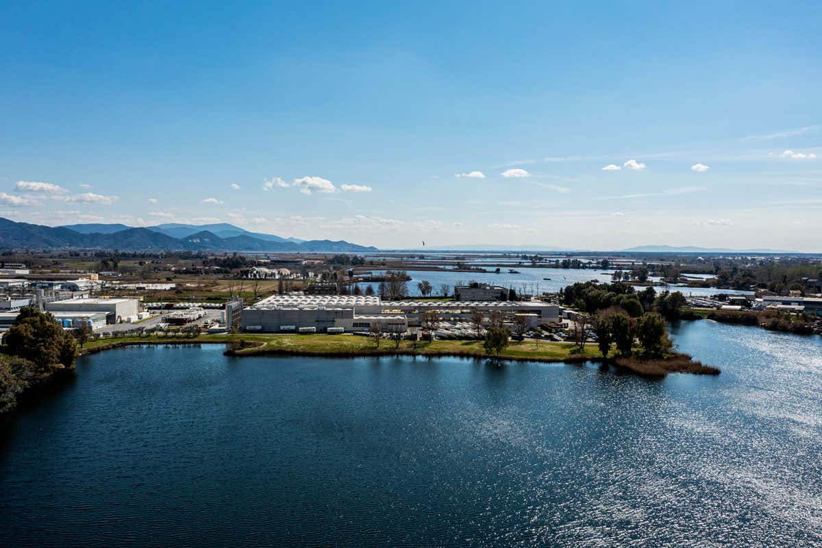 Olio Sagra e Filippo Berio: innovazione e sostenibilità al primo posto 