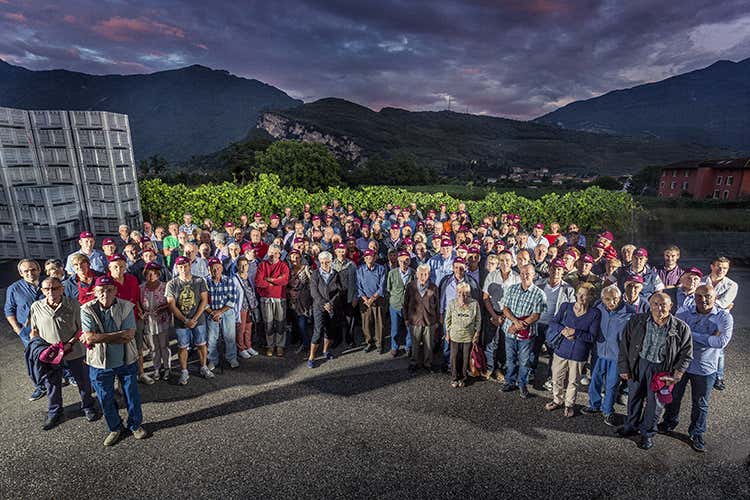I soci di Agririva (Agraria Riva del Garda Con vino e olio si esalta il territorio)