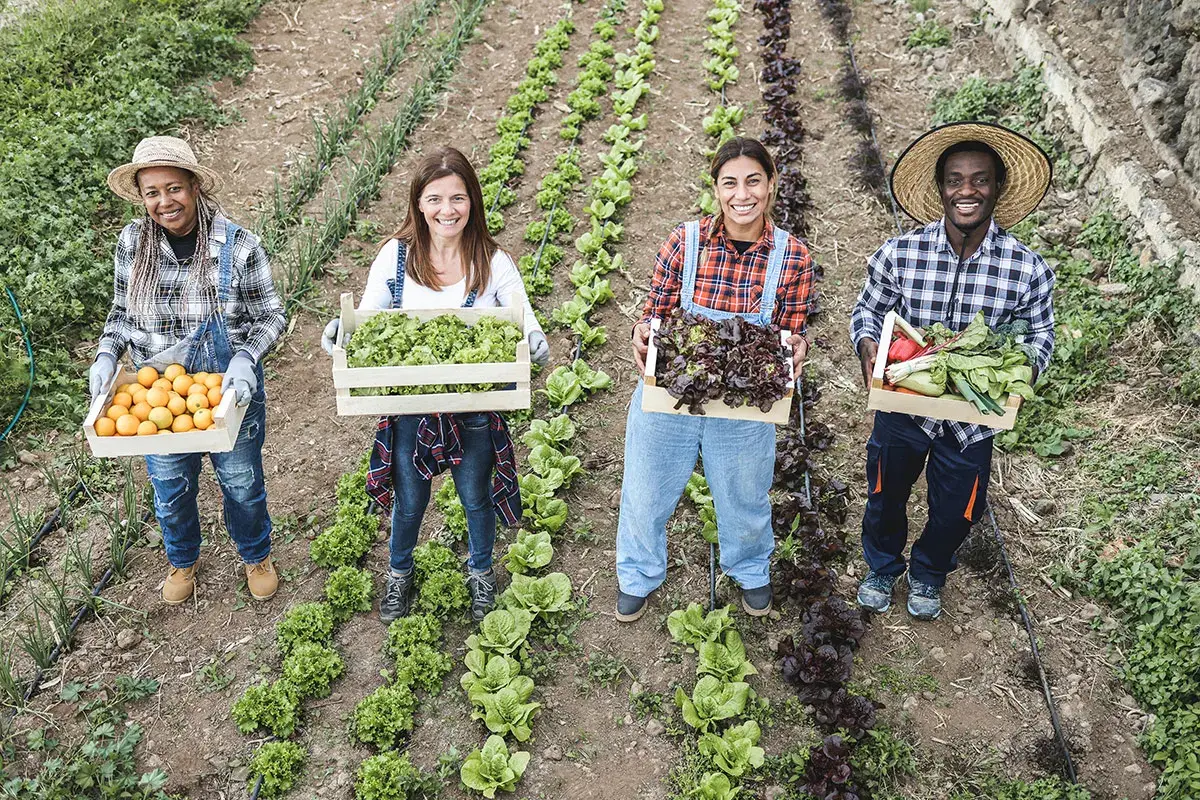 Agricoltura 4.0 e tecnologie emergenti: l&rsquo;obiettivo &egrave; la decarbonizzazione