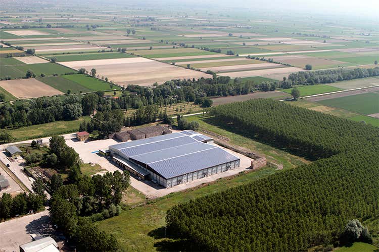 Agrifood ai concorsi di TuttoFood con prodotti Igp e innovativi Agrifood ai concorsi di TuttoFood con prodotti Igp e innovativi