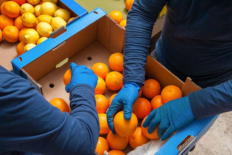 (Agromercati all'ingrosso Nasce la federazione europea)