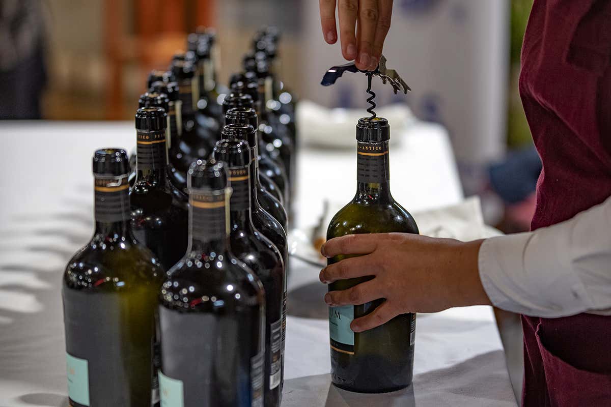 Formazione al centro Accademia Internazionale Enogastronomi Sommelier, 20 anni all'insegna della formazione Formazione al centro Accademia Internazionale Enogastronomi Sommelier, 20 anni all'insegna della formazione