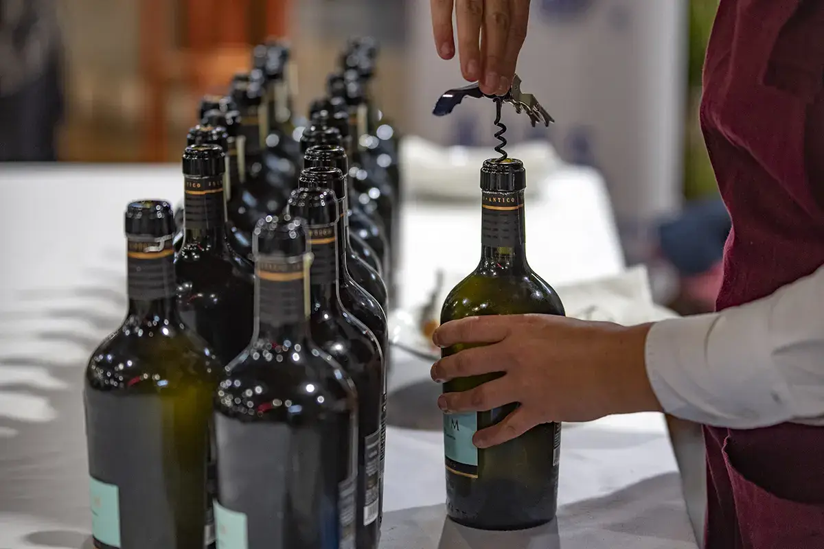 Formazione al centro Accademia Internazionale Enogastronomi Sommelier, 20 anni all'insegna della formazione