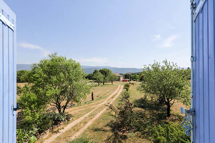 Airbnb con Agriturist lancia Rural Bootcamp L’opportunità in più per gli agriturismiDiventare un host di Airbnb