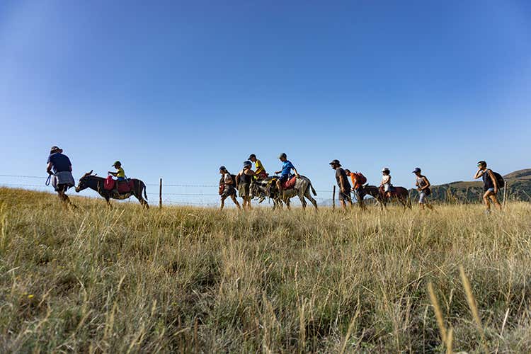 Il trekking accompagnati dagli asinelli nel Parco del Gran Sasso Rifugio glam o casa sull'albero? Dove dormire nei parchi naturali
