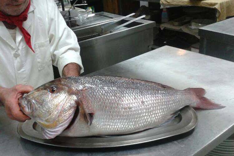 Il Decreto salva ristoranti e pizzerie  «Non siamo locali notturni»