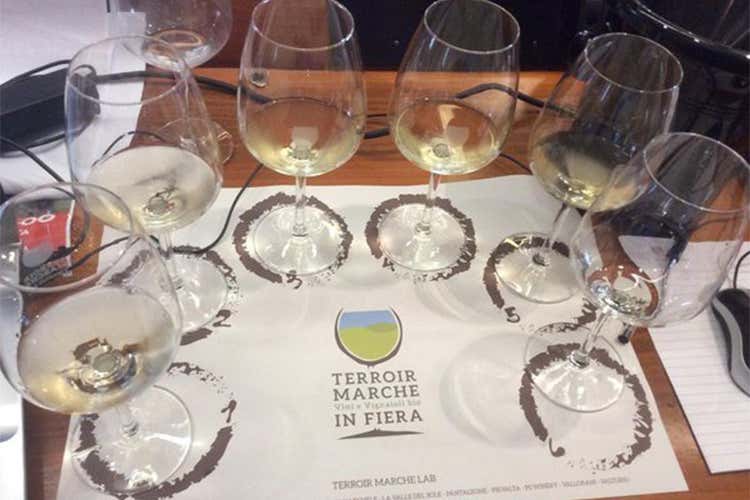 Al terzo Terroir Marche Festival il consorzio incontra Borgogna e Mosella