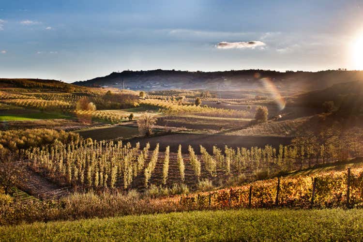 (Alba, Citt&agrave; creativa per la gastronomia)