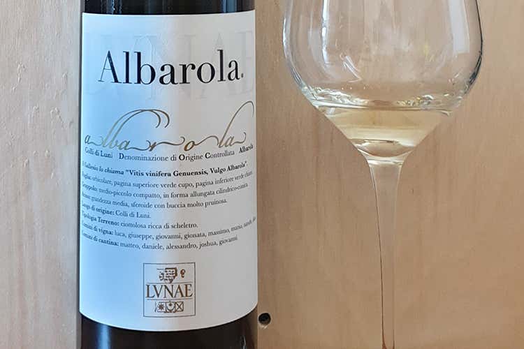 Albarola Colli di Luni Doc 2019 Lunae - Ripartiamo dal vinoAlbarola Colli di Luni Doc Lunae