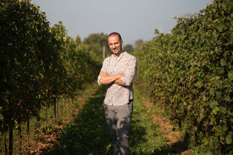 Alberto Serena (Montelvini, annata d’oro per l’Asolo Prosecco Superiore Docg) Alberto Serena (Montelvini, annata d’oro per l’Asolo Prosecco Superiore Docg)