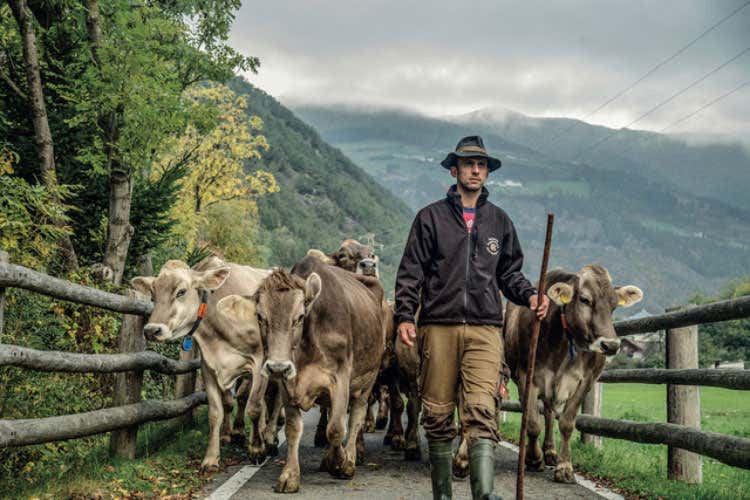 (Alce Nero e Mila tornano alle tradizioni  Lo yogurt proviene da latte fieno)