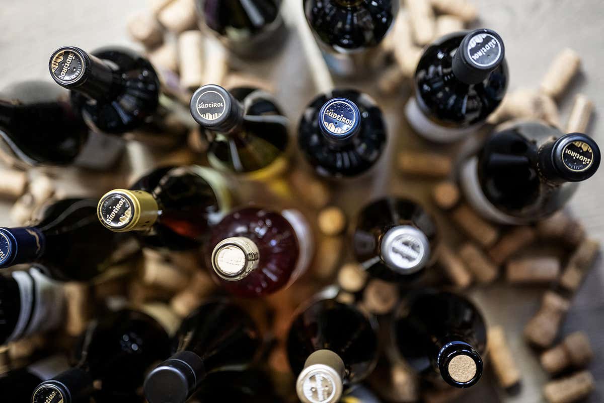 Dagli 800 metri al bicchiere: i vini d’alta quota dell’Alto Adige raccontati a Napoli