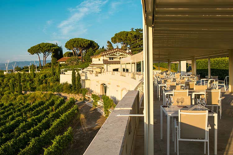 Poggio Le Volpi e i vigneti - Alfonso Crisci sostituisce Glowig al Barrique di Poggio Le Volpi