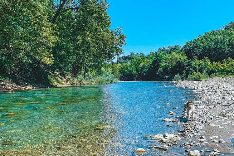 La natura dell'Alta Valtaro Il fascino dell&rsquo;Alta Valtarotra cucina ed escursioni