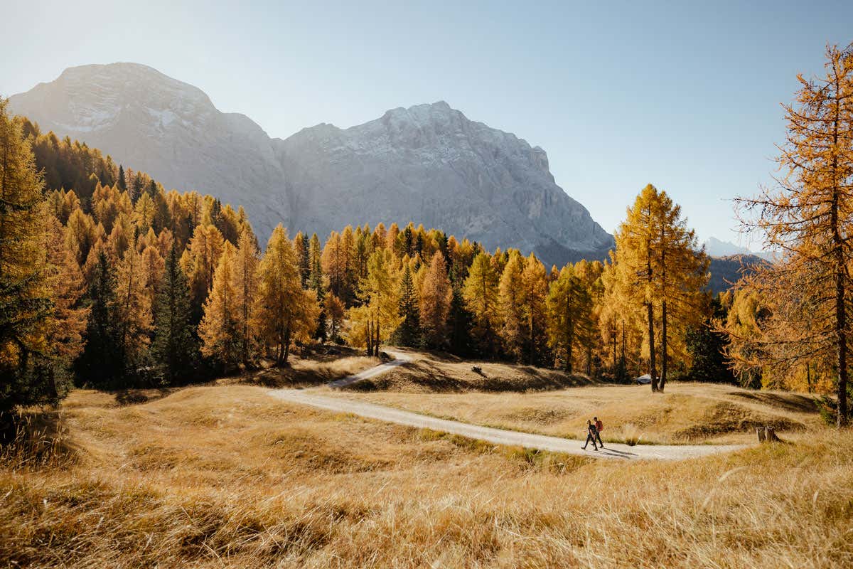 Tre settimane di eventi per vivere l'autunno sulle Dolomiti dell'Alta Badia