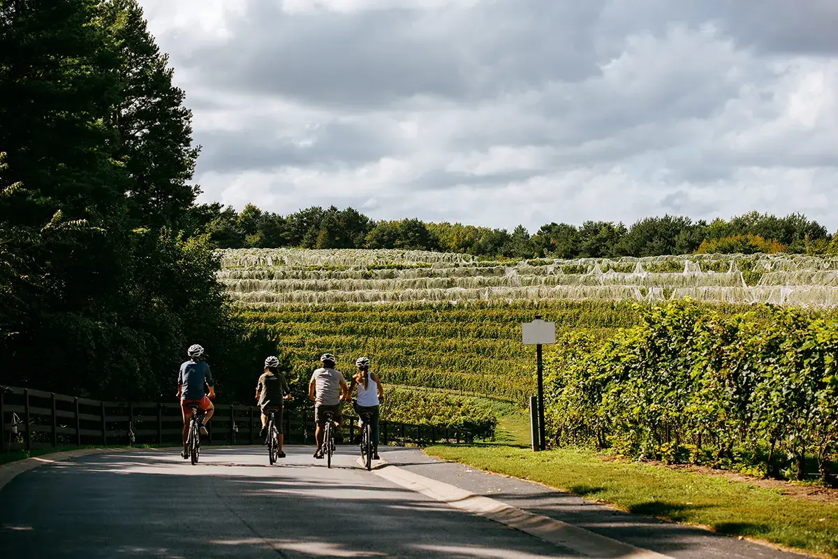 Altarocca Wine Resort Il meglio dell'Italia vinicola in bici. Dove dormire? Nei Luxury Bike Hotels