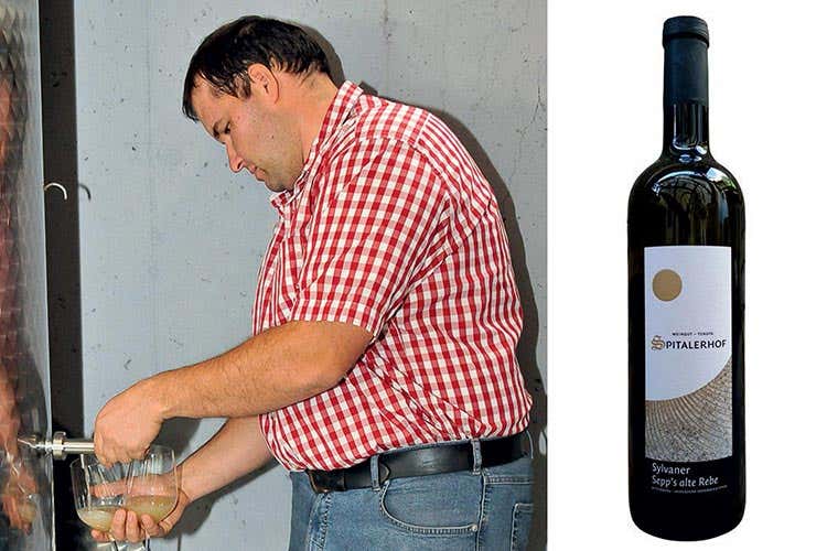 Michael Oberpertiniger (Alto Adige Wine Summit Il Consorzio ha preso la strada giusta)