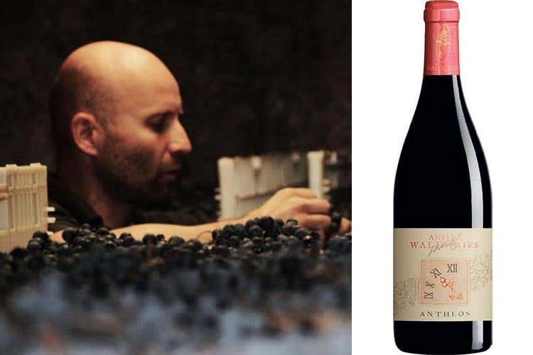 Christian Plattner (Alto Adige Wine Summit Il Consorzio ha preso la strada giusta)