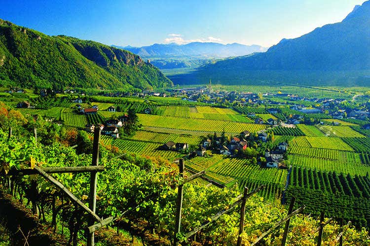 Alto Adige Wine Summit Per i primi 10 anni del Consorzio