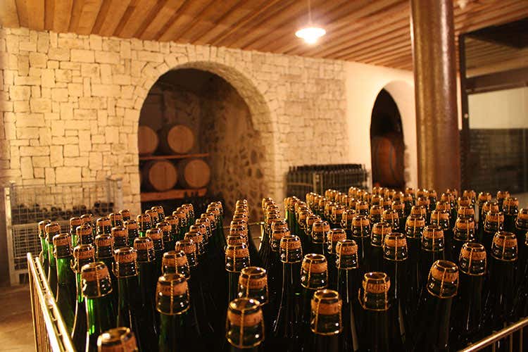 Alto Adige Wine Summit Per i primi 10 anni del Consorzio