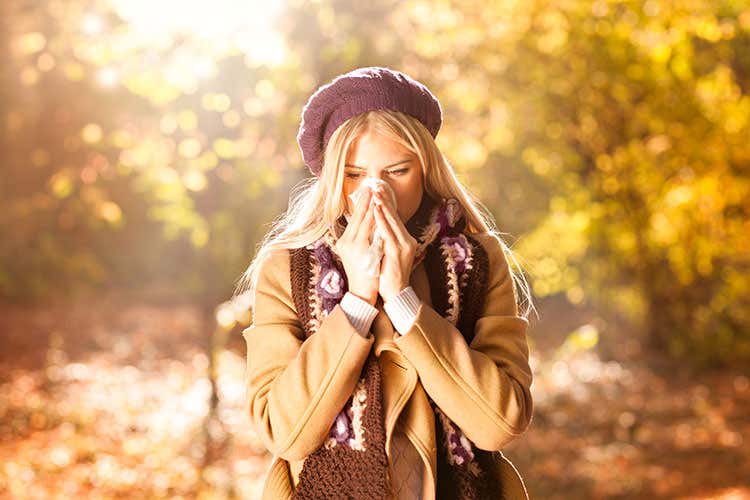 In autunno proliferano l’ambrosia, la parietaria e in minor misura le graminacee - Ambrosia, parietaria, muffe e acari: le inside autunnali per gli allergici In autunno proliferano l’ambrosia, la parietaria e in minor misura le graminacee - Ambrosia, parietaria, muffe e acari: le inside autunnali per gli allergici