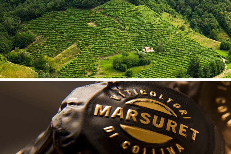 Marsuret, da oltre 80 anni un Prosecco che racconta il territorio - Amolèr, debutta il nuovo Extra Brut di Marsuret Marsuret, da oltre 80 anni un Prosecco che racconta il territorio - Amolèr, debutta il nuovo Extra Brut di Marsuret