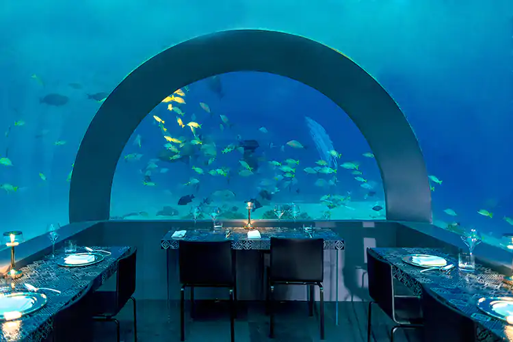 Andrea Berton&hellip; sott'acqua Nuova collaborazione alle Maldive