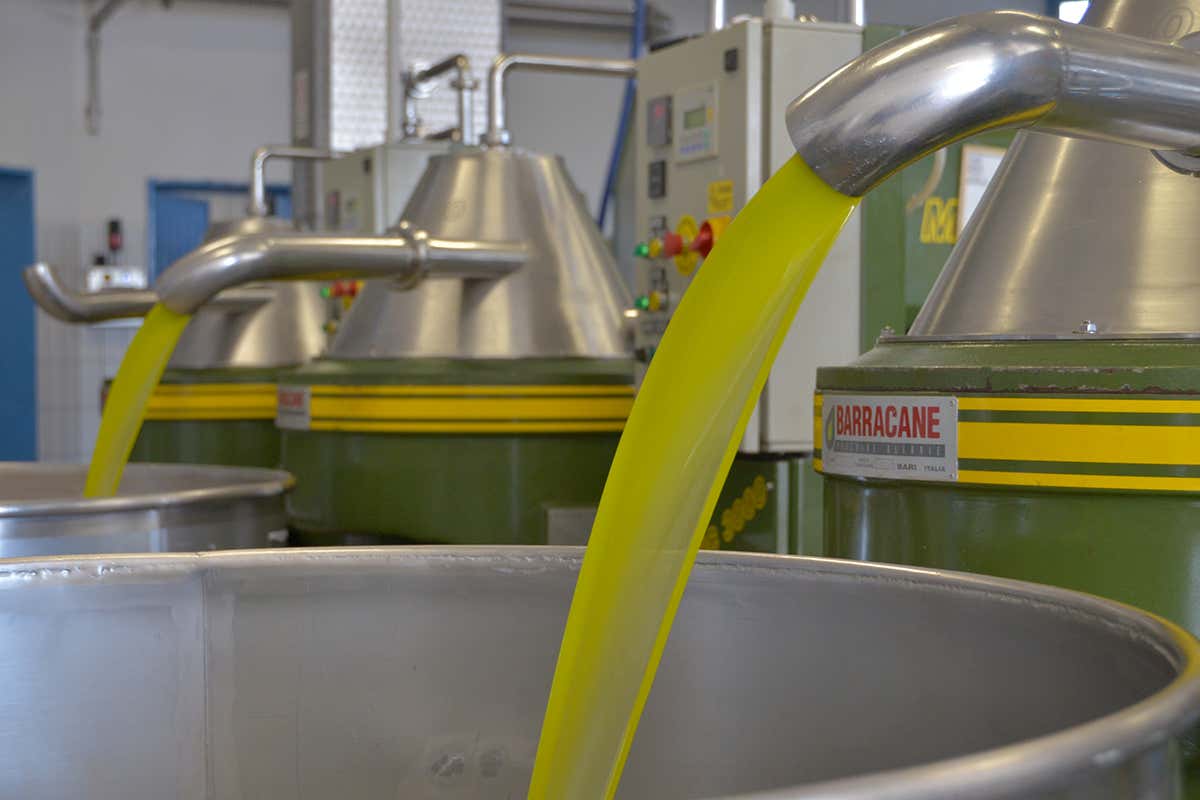 Il 27 e 28 febbraio, ad Andria si terrà la XVII edizione di “QOCO - Un Filo d'Olio nel Piatto”