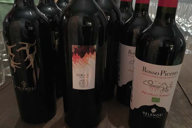 Angela Velenosi, di corsa verso il Bio «Lasciamo ai figli un ambiente pulito»