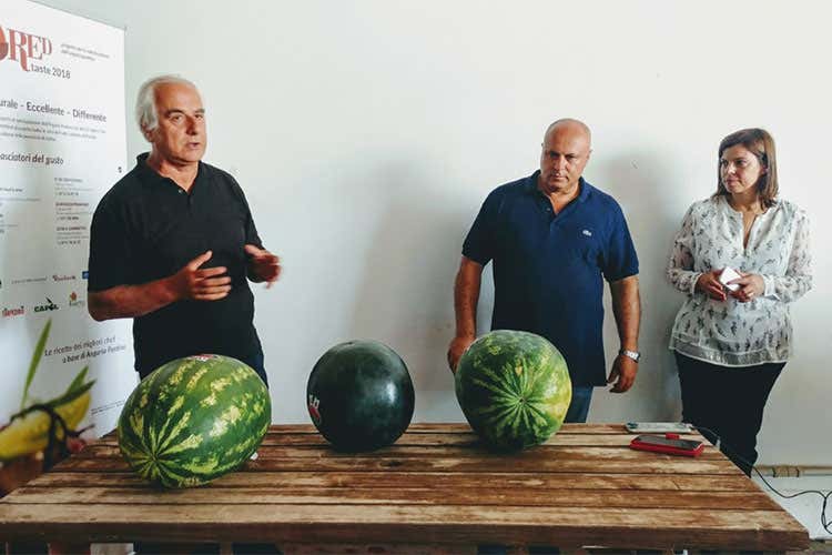 Giuseppe Nocca, Claudio Filosa e Tiziana Briguglio (Anguria delle terre Pontine Al via Red: Rurale, Eccellente, Differente)