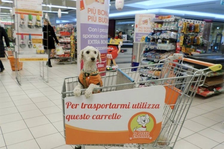 Animali nei supermercati, non più Una nota del Ministero crea confusione