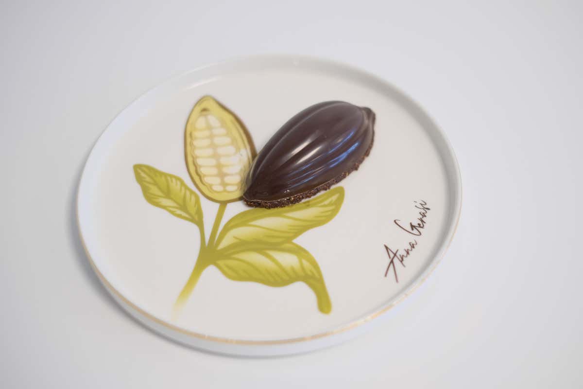 La prova tase di Anna Gerasi 