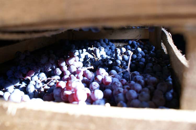 Anteprima Amarone 2017 ricca di novità Annata 2013 scattante, fresca e moderna Anteprima Amarone 2017 ricca di novità Annata 2013 scattante, fresca e moderna