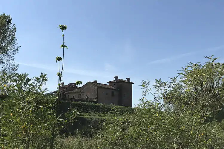 L'Antica Corte Pallavicina di Polesine Parmense ha preparato il percorso Po Forest. Fonte: Francesca Cavalca Vacanze senza filtri nella natura In vigna, al fiume o sulla spiaggia