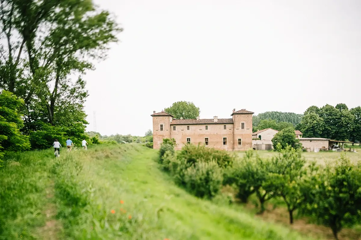 Alla scoperta della Po Forest. Foto: Infraordinario Week end tra gennaio e febbraio? Ecco gli alberghi &ldquo;lontani&rdquo; dal Covid