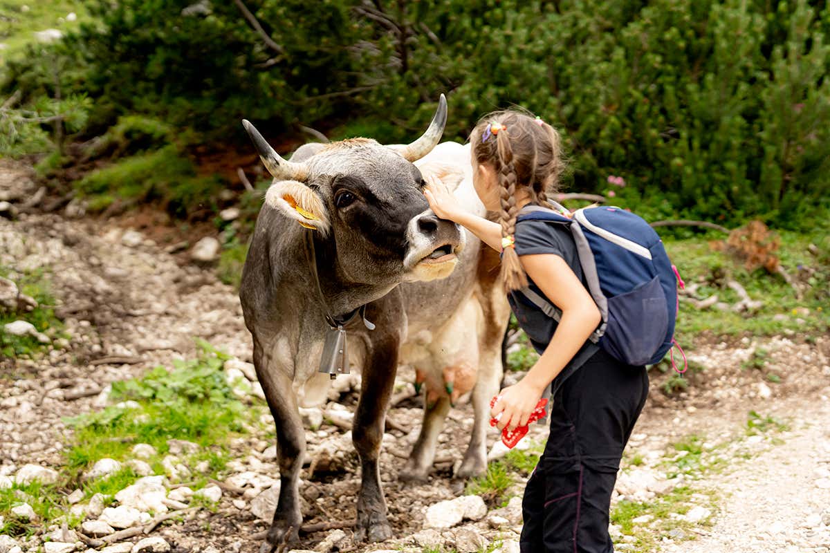 Val di Fassa tutto l’anno: perché non esiste più la “bassa stagione” in montagna Val di Fassa tutto l’anno: perché non esiste più la “bassa stagione” in montagna