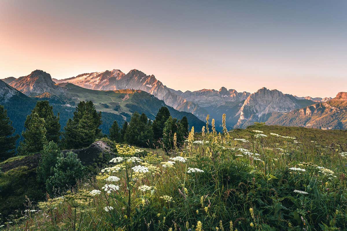 Val di Fassa tutto l’anno: perché non esiste più la “bassa stagione” in montagna Val di Fassa tutto l’anno: perché non esiste più la “bassa stagione” in montagna