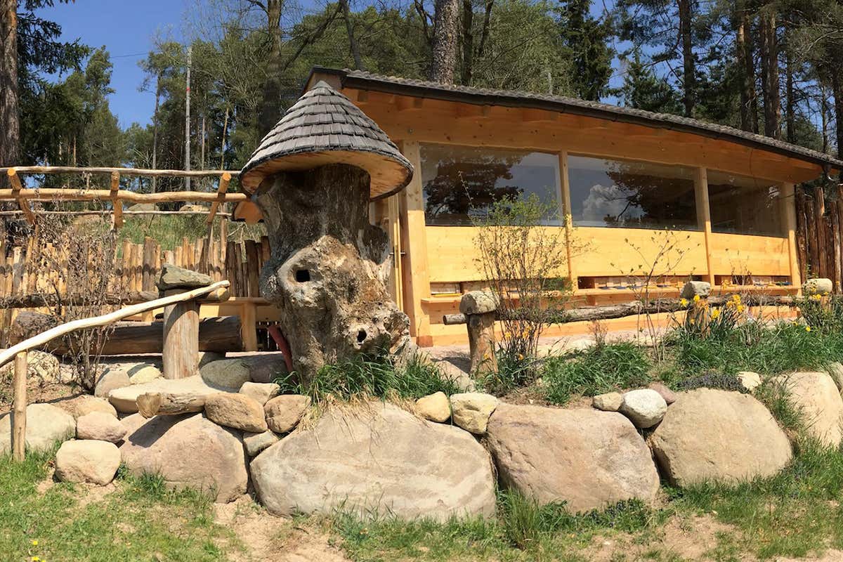 Api Wellness Rinner Dall&rsquo;Alto Adige alla Puglia una vacanza alla scoperta delle api