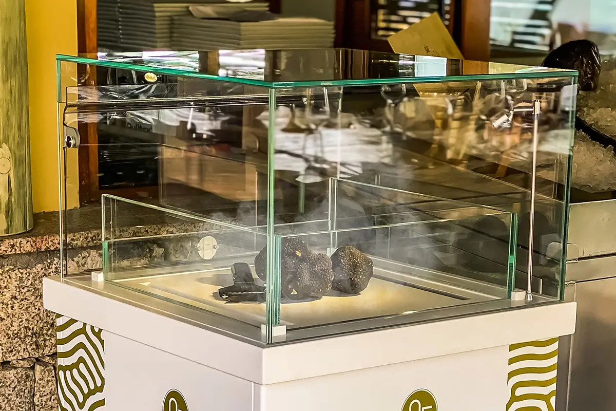 La teca agisce come un frigorifero capace di ricreare perfettamente il microhabitat del bosco Tartufi freschi tutto l&rsquo;anno? Al ristorante arriva il microhabitat del bosco