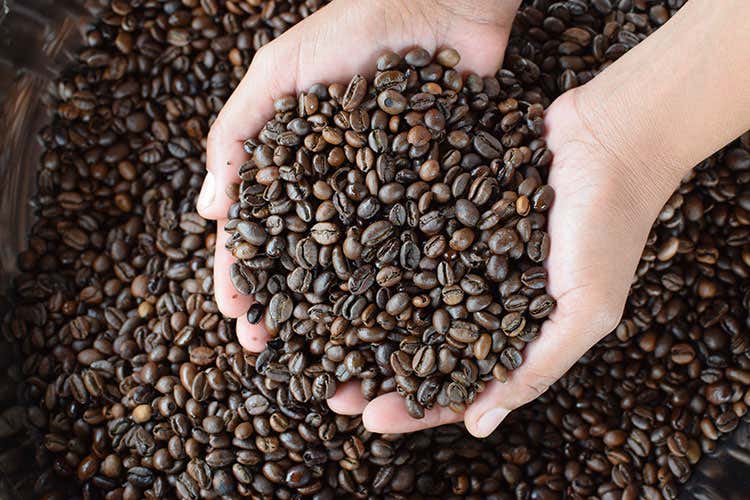 (Arabica o Robusta? Il ristoratore deve conoscere le differenze) (Arabica o Robusta? Il ristoratore deve conoscere le differenze)