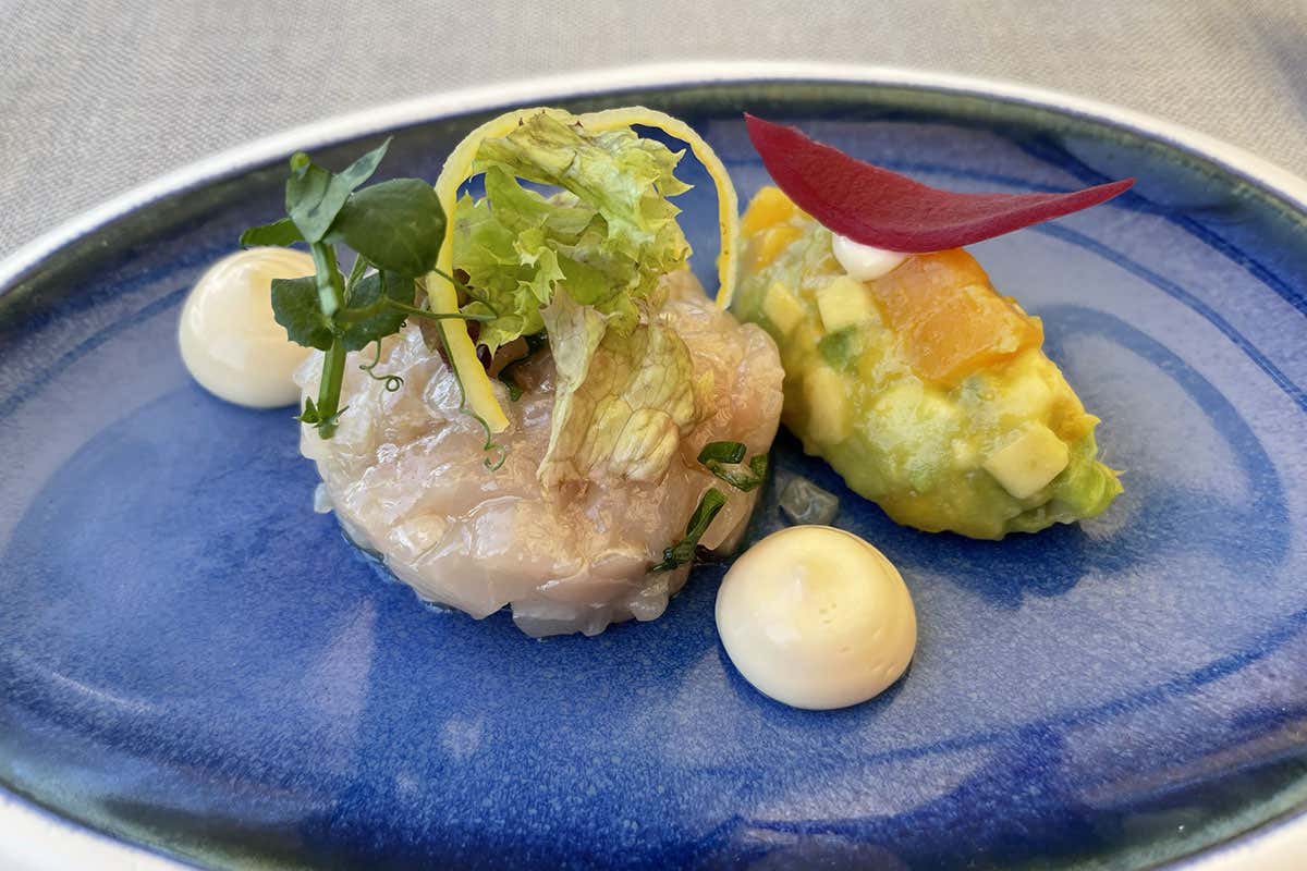 Ricciola marinata, avocado, mango e cipolla rossa di Tropea